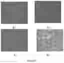 Fig. 07 - Method for rescuing influenza virus and composition therefor
