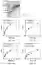 Fig. 02 - Human methylthioadenosine/adenosine depleting enzyme variants for cancer therapy