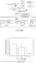 Fig. 05 - Human methylthioadenosine/adenosine depleting enzyme variants for cancer therapy