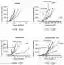 Fig. 13 - Human methylthioadenosine/adenosine depleting enzyme variants for cancer therapy