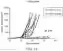 Fig. 14 - Human methylthioadenosine/adenosine depleting enzyme variants for cancer therapy