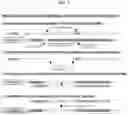 Fig. 05 - Engineered human extracellular DNASE enzymes