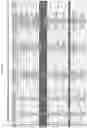 Fig. 08 - Engineered human extracellular DNASE enzymes