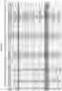 Fig. 10 - Engineered human extracellular DNASE enzymes