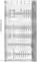 Fig. 11 - Engineered human extracellular DNASE enzymes