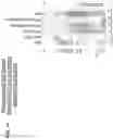 Fig. 12 - TRANSPOSON END COMPOSITIONS AND METHODS FOR MODIFYING NUCLEIC ACIDS