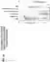 Fig. 15 - TRANSPOSON END COMPOSITIONS AND METHODS FOR MODIFYING NUCLEIC ACIDS