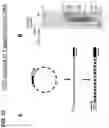 Fig. 24 - TRANSPOSON END COMPOSITIONS AND METHODS FOR MODIFYING NUCLEIC ACIDS