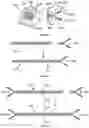 Fig. 07 - SYSTEMS AND METHODS FOR NUCLEIC ACID PREPARATION