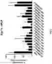Fig. 04 - APOLIPOPROTEIN C3 (APOC3) iRNA COMPOSITIONS AND METHODS OF USE THEREOF