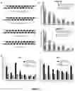 Fig. 06 - CONJUGATED OLIGONUCLEOTIDES FOR TISSUE SPECIFIC DELIVERY