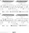 Fig. 07 - CONJUGATED OLIGONUCLEOTIDES FOR TISSUE SPECIFIC DELIVERY