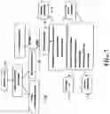 Fig. 09 - Identification of a JAK2 Mutation in Polycythemia Vera