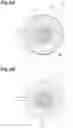 Fig. 09 - Sliding member