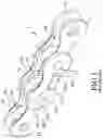 Fig. 02 - Chain and transmission mechanism having the same