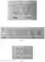 Fig. 02 - BIOLOGICAL NANOPARTICLE DETECTING METHOD WITH HIGH SENSITIVITY