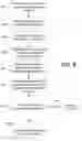 Fig. 09 - Application publishing in a virtualized environment
