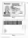 Fig. 03 - MULTI DIGITAL IMAGE LICENSE AND CARD READOUT