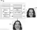 Fig. 01 - Cross-domain image translation