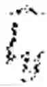 Fig. 02 - Cross-domain image translation