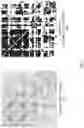 Fig. 06 - Deriving target data from selected brain data