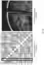 Fig. 08 - Deriving target data from selected brain data