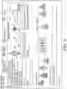 Fig. 07 - Visualizing patient conditions over time
