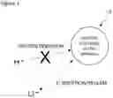 Fig. 02 - POSITIVE ELECTRODE ACTIVE MATERIAL FOR SECONDARY BATTERIES, AND SECONDARY BATTERY