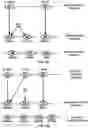 Fig. 06 - Wireless Communications for Network Access Configuration