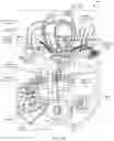 Fig. 04 - Systems and methods for aquatic organism imaging
