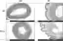 Fig. 01 - Compositions for weight management