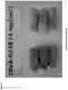 Fig. 07 - Modified release coated capsules
