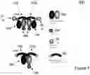 Fig. 06 - Dynamic bio-nanoparticle platforms