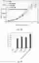 Fig. 08 - DRUG COMPOSITION FOR TREATING BREAST CANCER AND METHOD FOR MANUFACTURING THE SAME