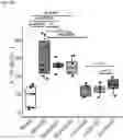 Fig. 25 - METHODS AND COMPOSITIONS FOR TREATING AND PREVENTING INFLAMMATORY DISEASES