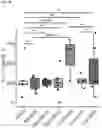 Fig. 28 - METHODS AND COMPOSITIONS FOR TREATING AND PREVENTING INFLAMMATORY DISEASES