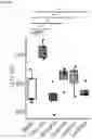 Fig. 30 - METHODS AND COMPOSITIONS FOR TREATING AND PREVENTING INFLAMMATORY DISEASES