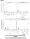 Fig. 74 - METHODS AND COMPOSITIONS FOR TREATING AND PREVENTING INFLAMMATORY DISEASES