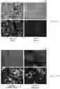 Fig. 35 - Electroporation Devices And Methods Of Cell Transfection
