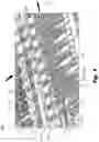 Fig. 02 - Carton Maintaining Tools