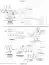 Fig. 02 - Synthesis of small molecules inspired by Phomoxanthone A