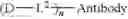 Fig. 22 - SUBSTITUTED BENZAZEPINE COMPOUNDS, CONJUGATES, AND USES THEREOF