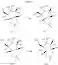 Fig. 197 - COMPOUNDS TARGETING PRMT5
