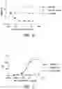 Fig. 07 - ANTI-CD40 ANTIBODIES AND METHODS OF USE