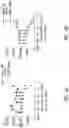 Fig. 09 - ANTI-CD40 ANTIBODIES AND METHODS OF USE