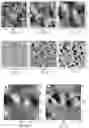 Fig. 02 - Method for detecting thickness of bonded rubber of carbon black in natural rubber based for reinforcement performance