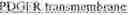 Fig. 08 - Genetically encoded biosensors
