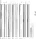Fig. 30 - Genetically encoded biosensors