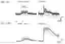 Fig. 68 - Genetically encoded biosensors