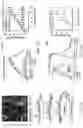 Fig. 70 - Genetically encoded biosensors